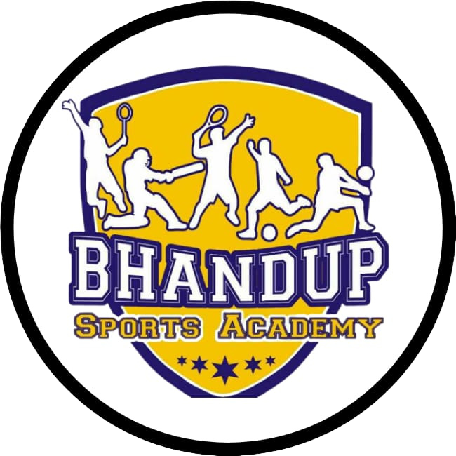 volley_logo