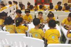 picnicdpp8