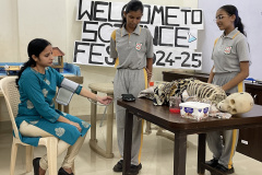 sciencefest3